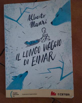 Libro Il viaggio di Einar