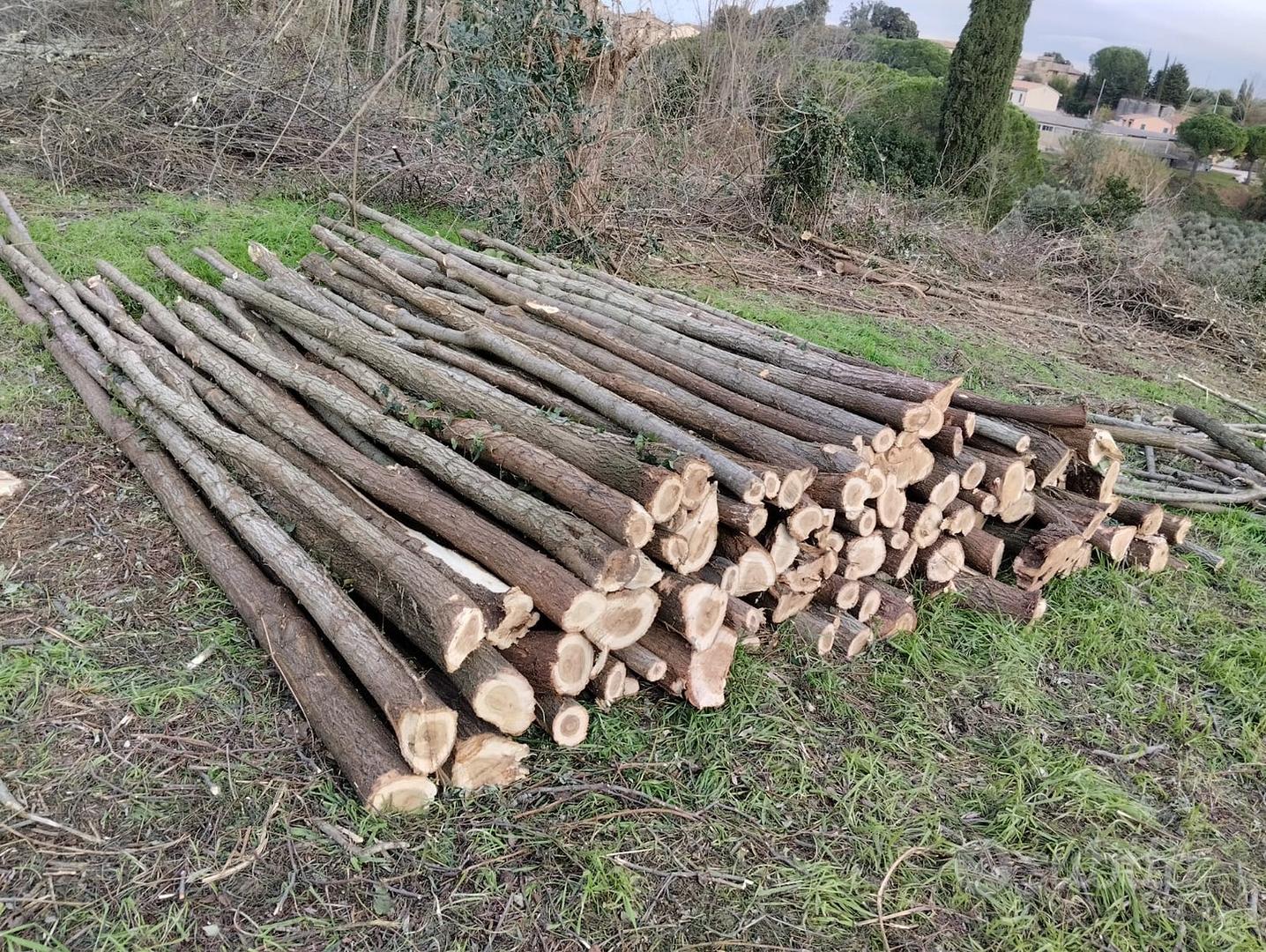 Pali in legno di acacia 120 cm – Pali in legno per recinzioni da giardino –  Pali in acacia naturali e sbloccati : : Fai da te