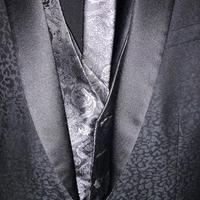 completo elegante-gilet/giacca/cravatta/camicia