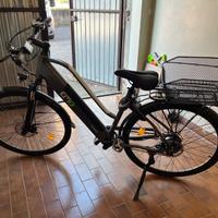 Bici elettrica
