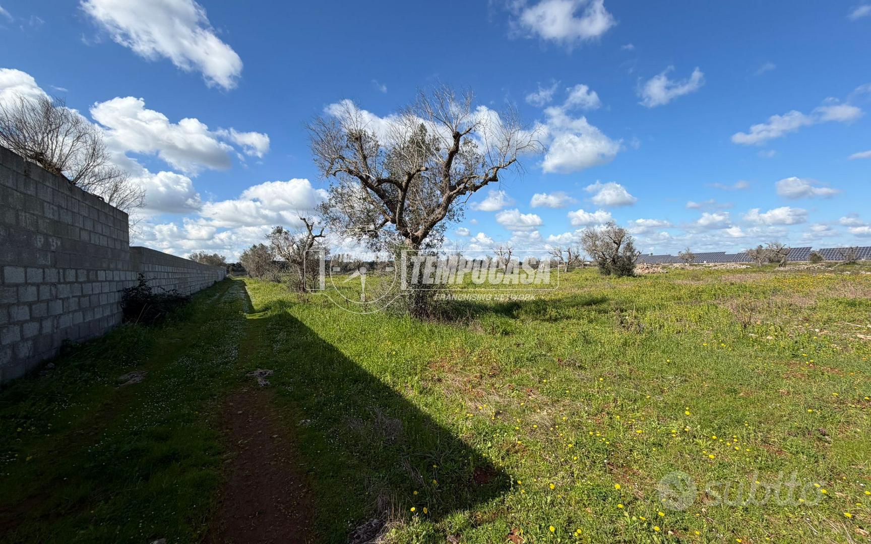 Terreno agricolo a Sanarica 1 locali - Vista 6