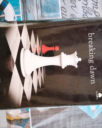 libro breaking dawn