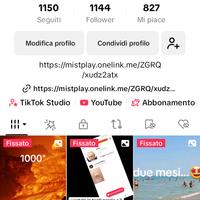 canale tiktok 