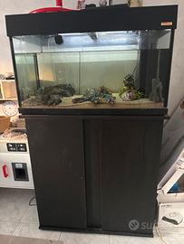 Acquario con mobile