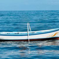 Lancia in legno e motore