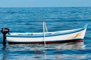 Lancia in legno e motore