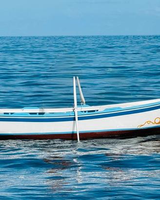 Lancia in legno e motore