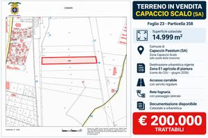 Terreno 14.999 mq Capaccio Scalo - interessante pr