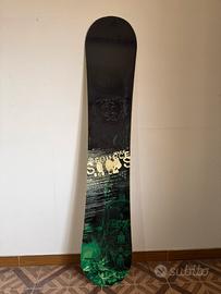 Snowboard sims twinpig