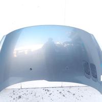 7901R5 COFANO ANTERIORE PEUGEOT 206 PLUS (T3E) 1.1