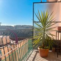 Yucca in vaso h.1.20