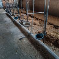 attrezzi per la stalla