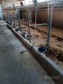 attrezzi per la stalla