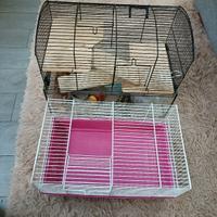 GABBIE+ accessori per piccoli roditori