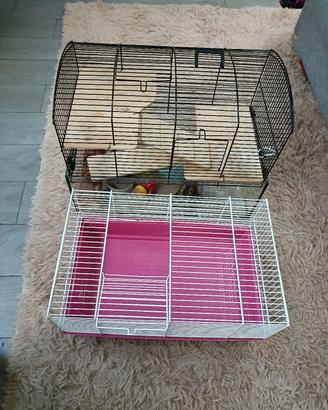 GABBIE+ accessori per piccoli roditori