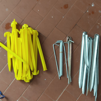 Picchetti