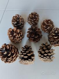 pigne naturali decorative