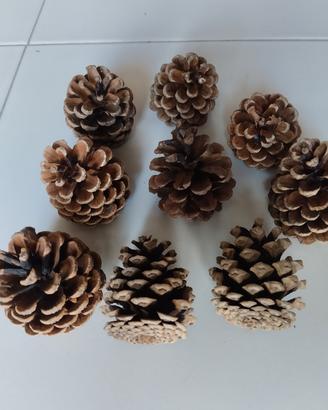 pigne naturali decorative