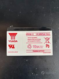 Batteria Yuasa NPW36-12