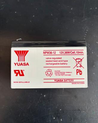 Batteria Yuasa NPW36-12