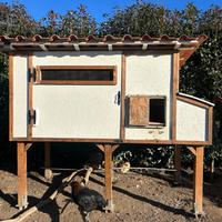 Pollaio con accessori e polli