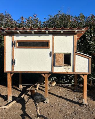 Pollaio con accessori e polli