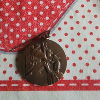 medaglia raduno alpini