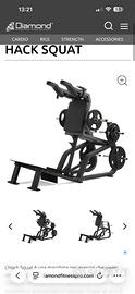 Hack Squat