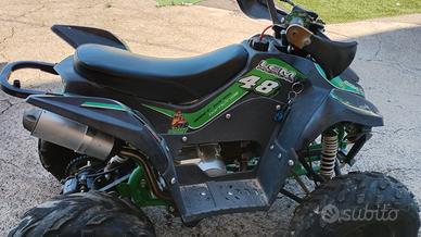 quad 110 4t