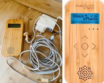 Bamboo Musica delle Piante