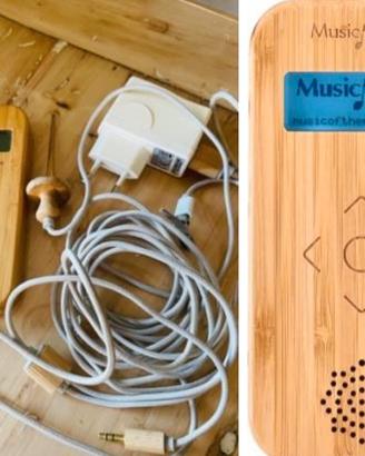 Bamboo Musica delle Piante