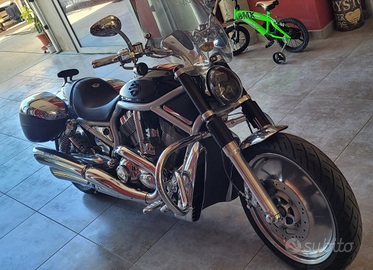 V Rod-Harley Davidson del centenario