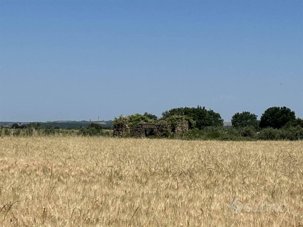 Rustico / Casale di 20040 m² a Tuscania - Vista 4