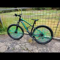 mountan bike 