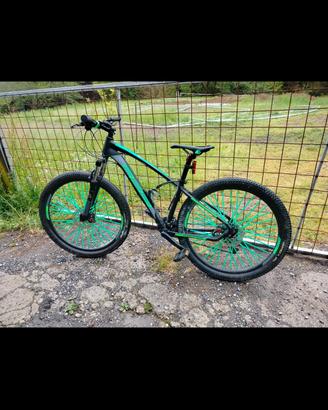 mountan bike 