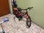 Immagine 2