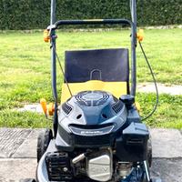 TAGLIAERBA RIWALL Pro