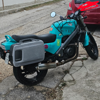 Honda ntv rc33 iscritra asi del 94