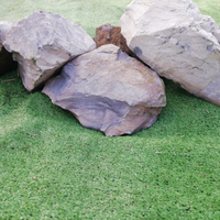 Sassi grandi da giardino