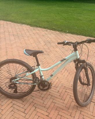 Bici Trek 24