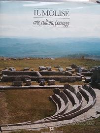 Libro   "il molise  arte,cultura,paesaggi"