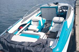 Excell Entrofuoribordo 4.3 mercruiser