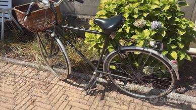 Bici da uomo