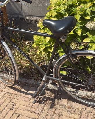 Bici da uomo