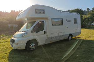 Arca 716 glt