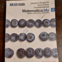 Matematica.blu. Algebra. Geometria. Probabilità