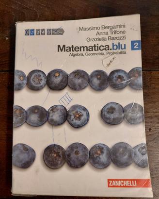 Matematica.blu. Algebra. Geometria. Probabilità