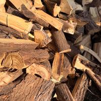 Legna da ardere 