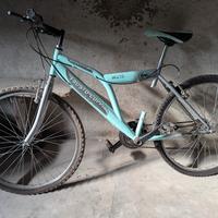 mountain bikeFausto Coppi