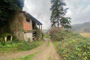 RUSTICO A FOSDINOVO